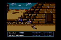 Скриншот из игры «Double Dragon III: The Sacred Stones»