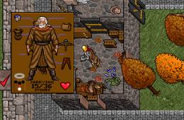 Скриншот из игры «Ultima VII: The Black Gate»