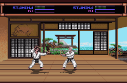 Скриншот из игры «Budokan: The Martial Spirit»