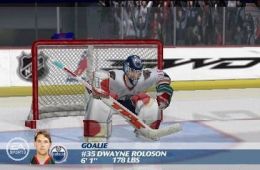 Скриншот из игры «NHL 07»