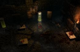 Скриншот из игры «Grim Dawn»