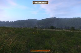 Скриншот из игры «Kingdom Come: Deliverance»