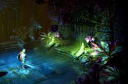 Скриншот из игры «Trine 2»