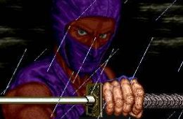 Скриншот из игры «Ninja Gaiden»