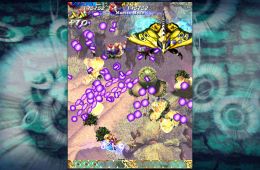 Скриншот из игры «Mushihimesama»