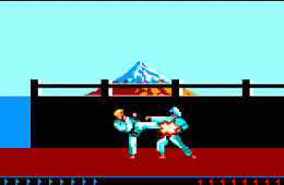 Скриншот из игры «Karateka»