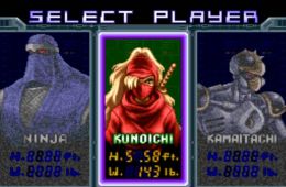 Скриншот из игры «Ninja Warriors»