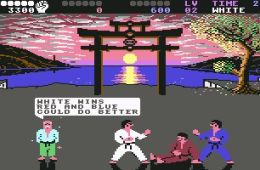 Скриншот из игры «International Karate +»