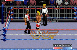 Скриншот из игры «WWF Royal Rumble»