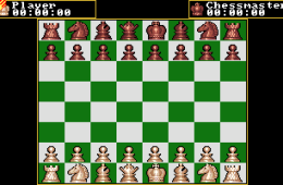 Скриншот из игры «The Chessmaster 2000»