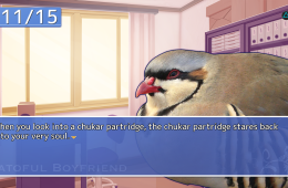 Скриншот из игры «Hatoful Boyfriend»