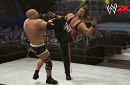 Скриншот из игры «WWE 2K14»