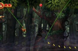 Скриншот из игры «Donkey Kong Country Returns»