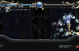 Скриншот из игры «Record of Lodoss War: Deedlit in Wonder Labyrinth»