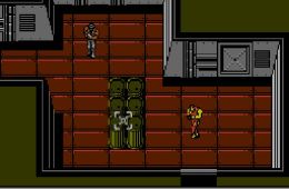 Скриншот из игры «Snake's Revenge»