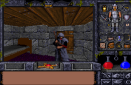 Скриншот из игры «Ultima Underworld II: Labyrinth of Worlds»