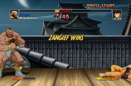 Скриншот из игры «Super Street Fighter II Turbo HD Remix»