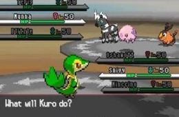 Скриншот из игры «Pokémon White Version»