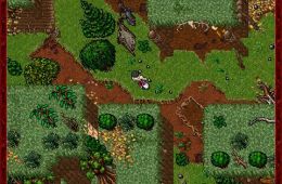 Скриншот из игры «Tibia»