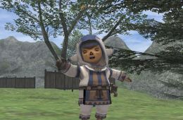 Скриншот из игры «Final Fantasy XI Online»