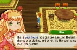 Скриншот из игры «Story of Seasons»