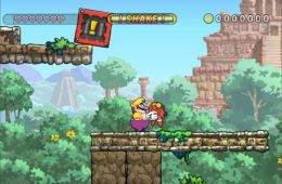 Скриншот из игры «Wario Land: Shake It!»