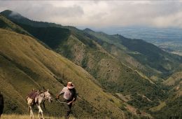 Путешествия ветра