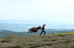 Ослик, любовник и я