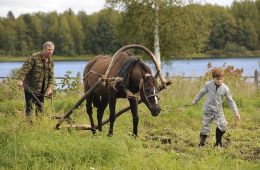 Белые ночи почтальона Алексея Тряпицына