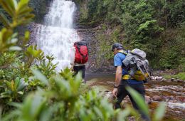 Explorer: The Last Tepui