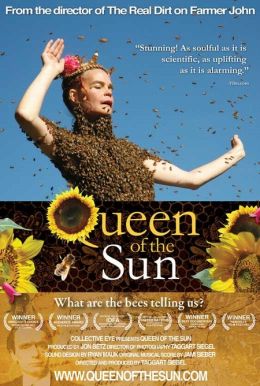 Королева солнца: Что нам говорят пчёлы?