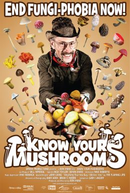 Узнай всё о грибах 