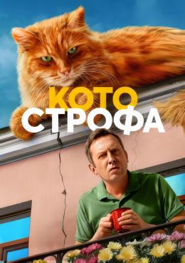 Котострофа