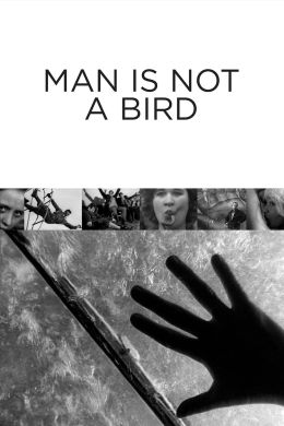 Человек не птица
