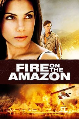 Амазонка в огне