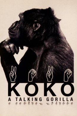 Коко, говорящая горилла
