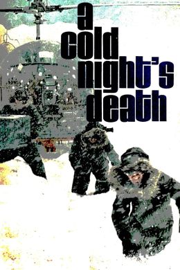 Смерть в холодную ночь