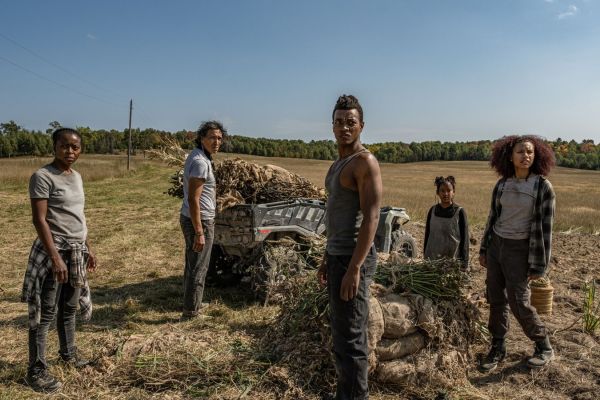 Фильмы про фермеров