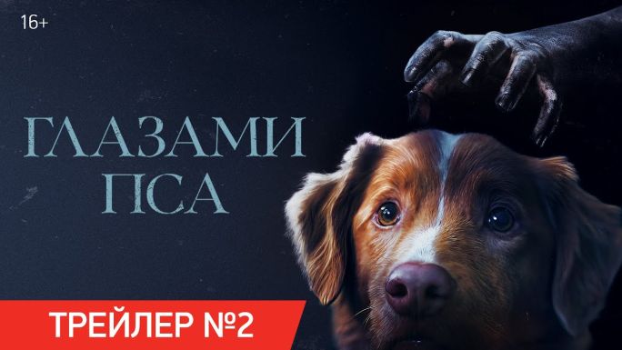 Глазами пса