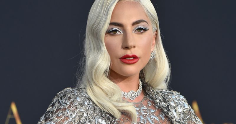 Обнаженная Lady Gaga фото